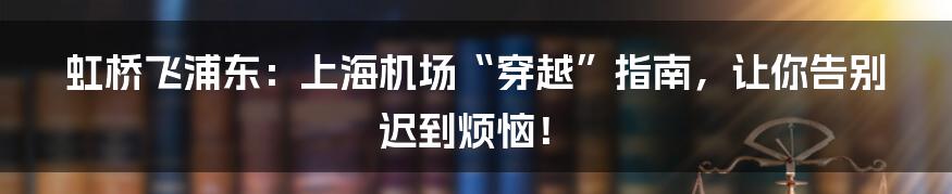 虹桥飞浦东:上海机场“穿越”指南,让你告别迟到烦恼!
