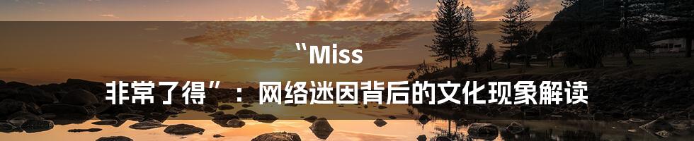 “Miss 非常了得”：网络迷因背后的文化现象解读