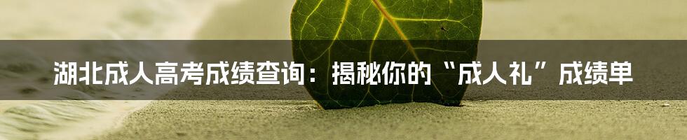 湖北成人高考成绩查询：揭秘你的“成人礼”成绩单