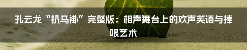 孔云龙“扒马褂”完整版:相声舞台上的欢声笑语与捧哏艺术