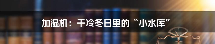 加湿机：干冷冬日里的“小水库”