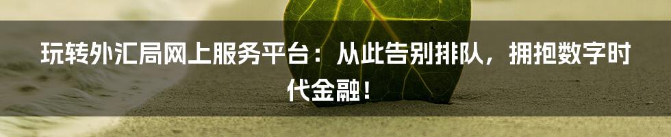 玩转外汇局网上服务平台:从此告别排队,拥抱数字时代金融!