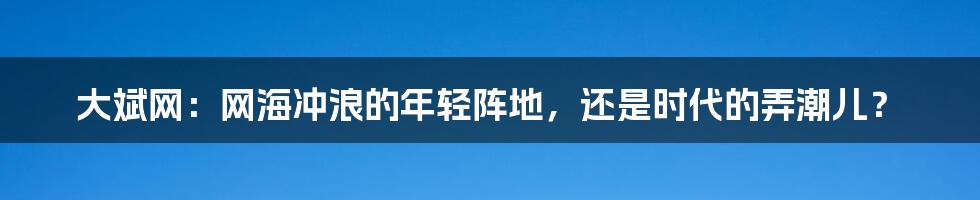 大斌网:网海冲浪的年轻阵地,还是时代的弄潮儿?