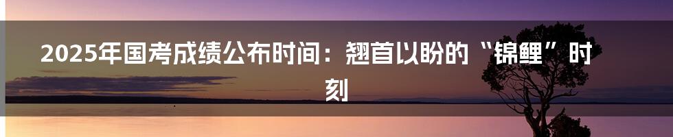 2025年国考成绩公布时间:翘首以盼的“锦鲤”时刻