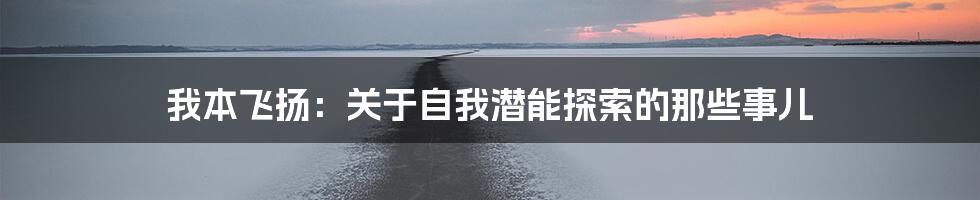 我本飞扬：关于自我潜能探索的那些事儿
