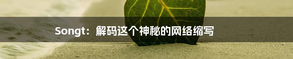 Songt：解码这个神秘的网络缩写