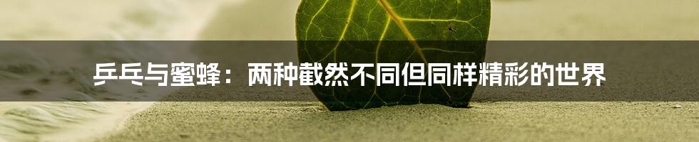 乒乓与蜜蜂：两种截然不同但同样精彩的世界