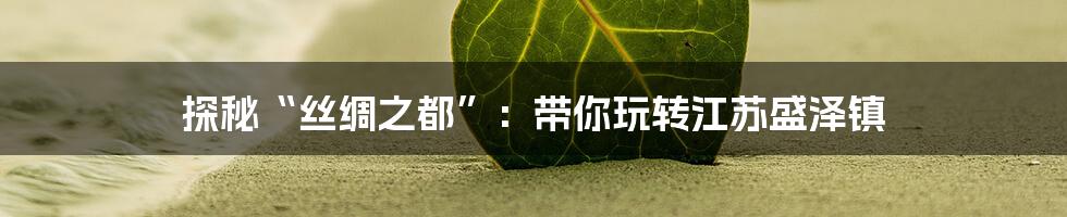 探秘“丝绸之都”：带你玩转江苏盛泽镇