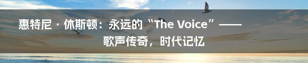 惠特尼·休斯顿：永远的“The Voice”—— 歌声传奇，时代记忆