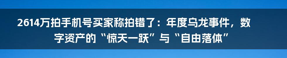 2614万拍手机号买家称拍错了:年度乌龙事件,数字资产的“惊天一跃”与“自由落体”
