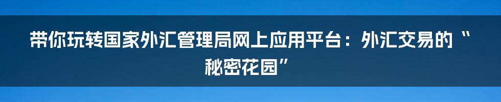 带你玩转国家外汇管理局网上应用平台:外汇交易的“秘密花园”