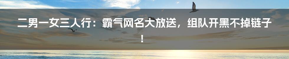 二男一女三人行:霸气网名大放送,组队开黑不掉链子!