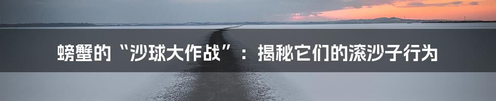 螃蟹的“沙球大作战”:揭秘它们的滚沙子行为