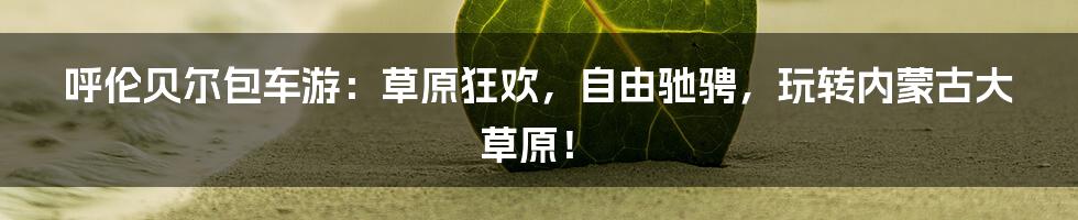 呼伦贝尔包车游:草原狂欢,自由驰骋,玩转内蒙古大草原!