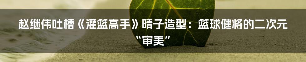 赵继伟吐槽《灌篮高手》晴子造型：篮球健将的二次元“审美”