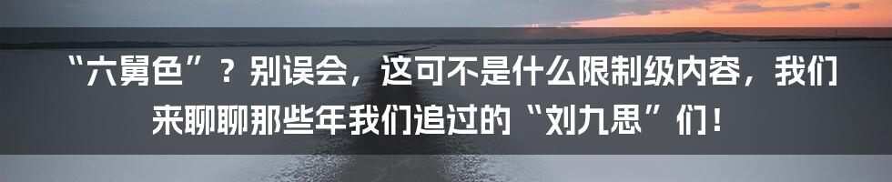 “六舅色”?别误会,这可不是什么限制级内容,我们来聊聊那些年我们追过的“刘九思”们!
