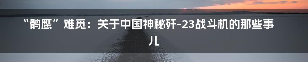 “鹘鹰”难觅:关于中国神秘歼-23战斗机的那些事儿