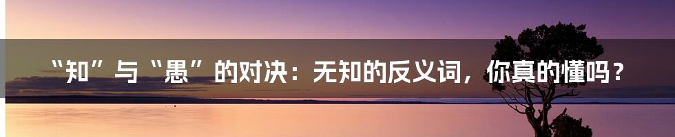 “知”与“愚”的对决:无知的反义词,你真的懂吗?