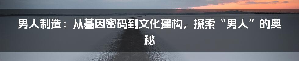 男人制造:从基因密码到文化建构,探索“男人”的奥秘
