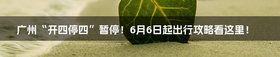 广州“开四停四”暂停!6月6日起出行攻略看这里!