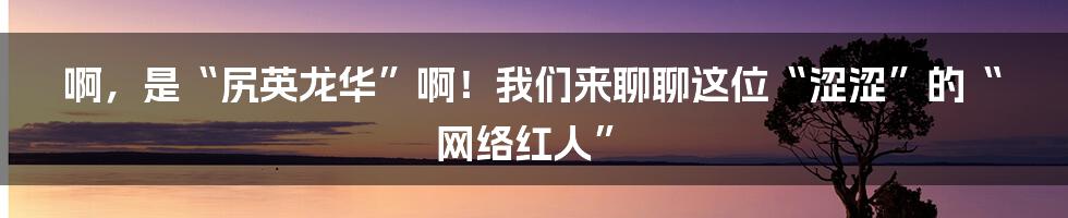 啊,是“尻英龙华”啊!我们来聊聊这位“涩涩”的“网络红人”