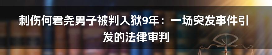 刺伤何君尧男子被判入狱9年：一场突发事件引发的法律审判