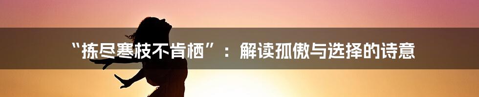 “拣尽寒枝不肯栖”:解读孤傲与选择的诗意