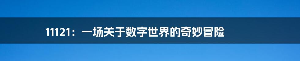 11121:一场关于数字世界的奇妙冒险