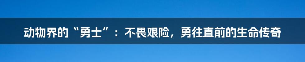 动物界的“勇士”：不畏艰险，勇往直前的生命传奇