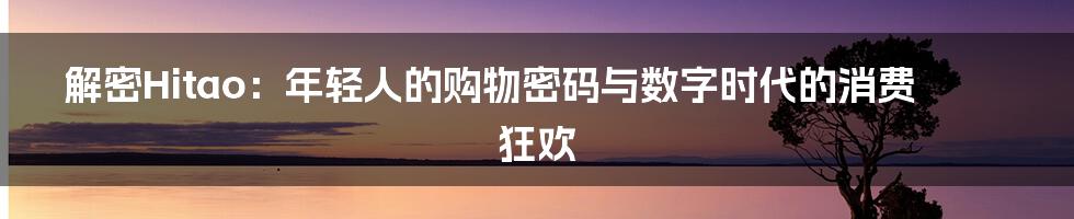 解密Hitao：年轻人的购物密码与数字时代的消费狂欢