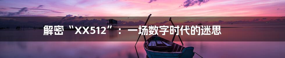 解密“XX512”:一场数字时代的迷思