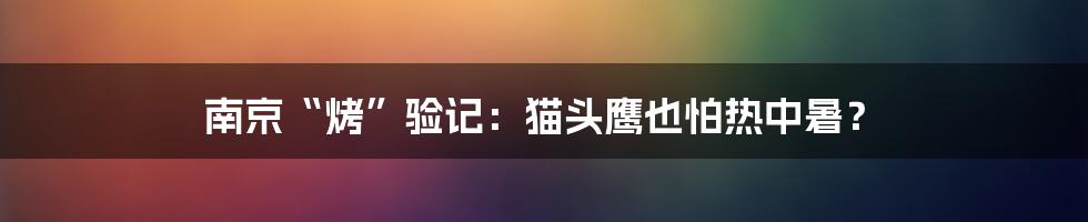 南京“烤”验记:猫头鹰也怕热中暑?