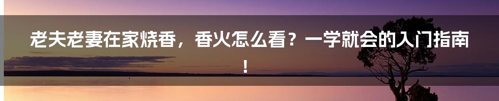 老夫老妻在家烧香,香火怎么看?一学就会的入门指南!