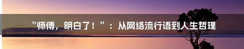 “师傅，明白了！”：从网络流行语到人生哲理