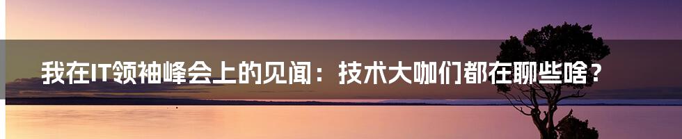 我在IT领袖峰会上的见闻:技术大咖们都在聊些啥?