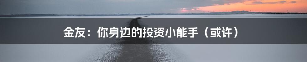 金友:你身边的投资小能手(或许)