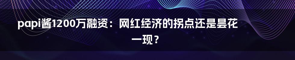 papi酱1200万融资：网红经济的拐点还是昙花一现？