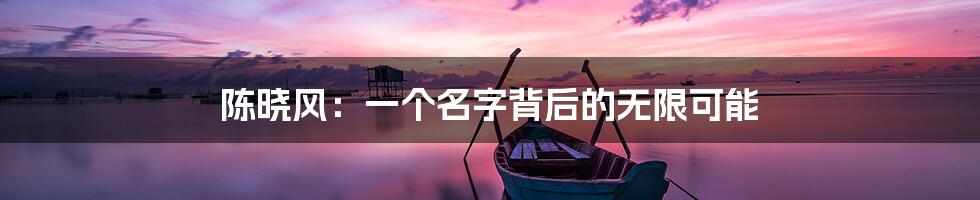陈晓风:一个名字背后的无限可能