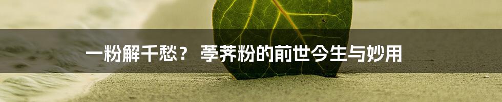 一粉解千愁? 荸荠粉的前世今生与妙用