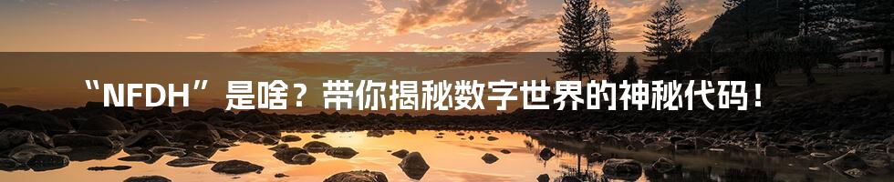 “NFDH”是啥?带你揭秘数字世界的神秘代码!
