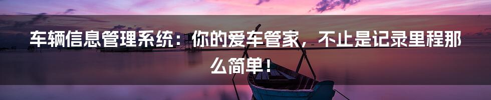 车辆信息管理系统:你的爱车管家,不止是记录里程那么简单!