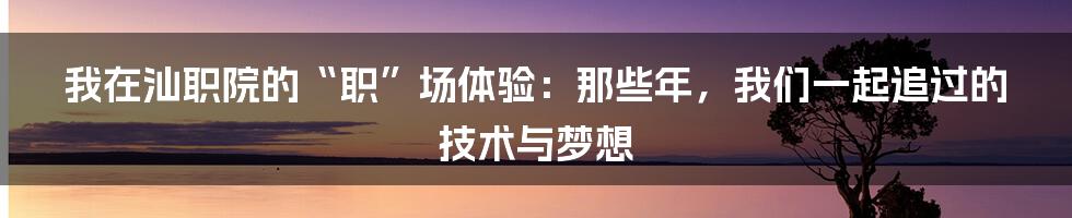 我在汕职院的“职”场体验:那些年,我们一起追过的技术与梦想