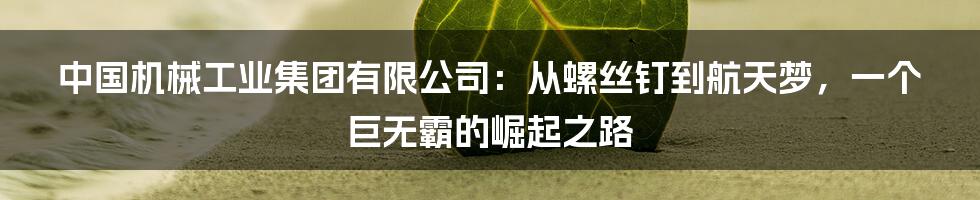中国机械工业集团有限公司:从螺丝钉到航天梦,一个巨无霸的崛起之路