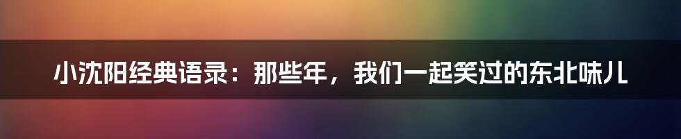 小沈阳经典语录:那些年,我们一起笑过的东北味儿