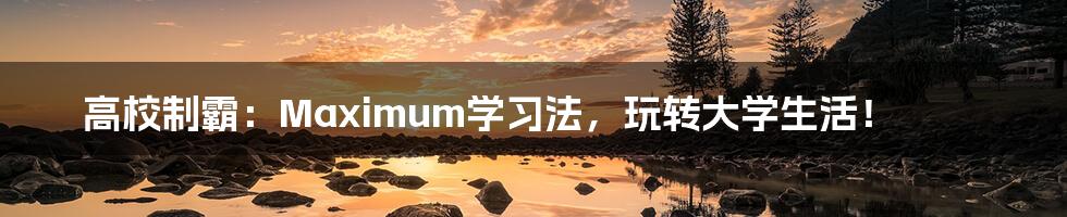 高校制霸:Maximum学习法,玩转大学生活!