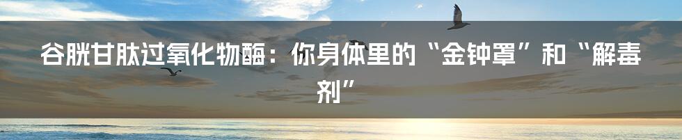 谷胱甘肽过氧化物酶:你身体里的“金钟罩”和“解毒剂”