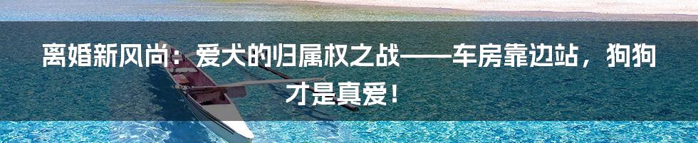 离婚新风尚：爱犬的归属权之战——车房靠边站，狗狗才是真爱！