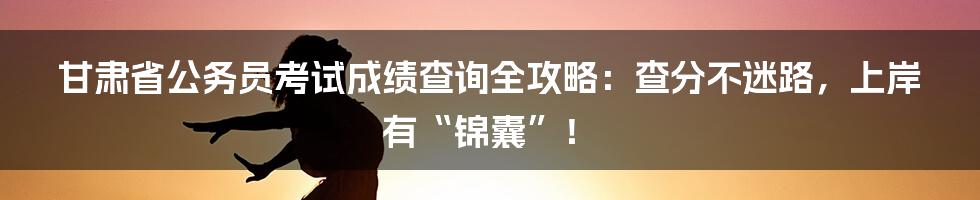 甘肃省公务员考试成绩查询全攻略:查分不迷路,上岸有“锦囊”!