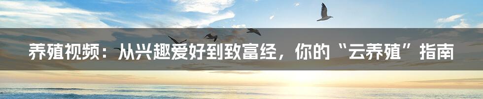 养殖视频：从兴趣爱好到致富经，你的“云养殖”指南