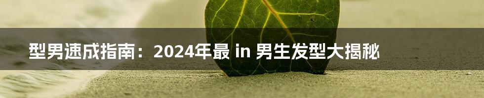 型男速成指南：2024年最 in 男生发型大揭秘